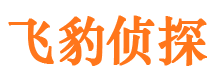 龙州捉小三公司